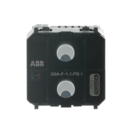 AB-SSA-F-1.1.PB.1