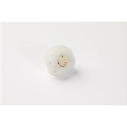 AIR1-Single-Bottom-White