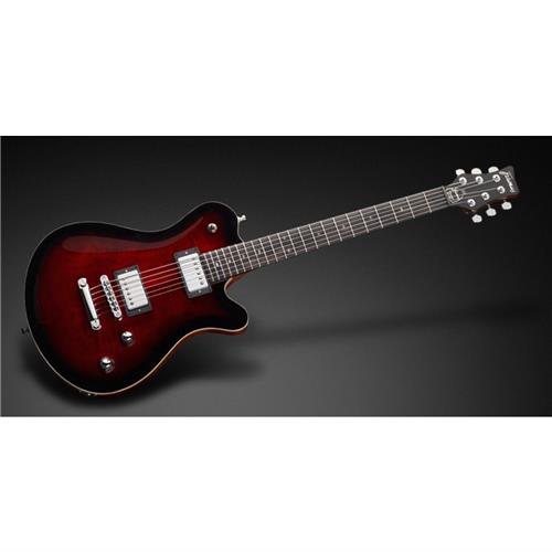 ZGPS175651PPMAHCR Panthera Pro. Mahogany Body Burgundy Blackburst Trans.