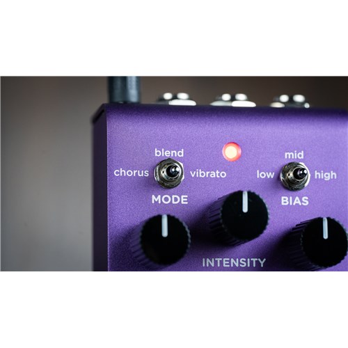 UltraViolet_Lifestyle_HiRes-13