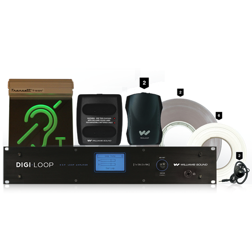 Digi-Loop Amp System With Dsp DL210SYS22.0 Williams AV
