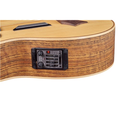 Warwick Alien 5-String Natural Transparent Satin