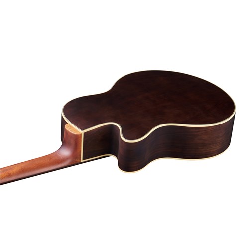 RockBass Alien Deluxe 6-String Natural High Polish