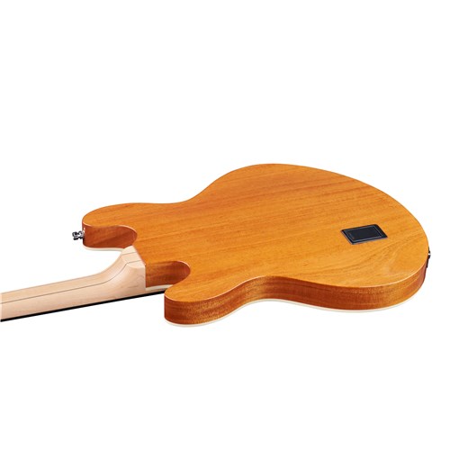 Warwick TeamBuilt Artist Line Lee Sklar 4-String Vintage Sunburst Transparent High Polish