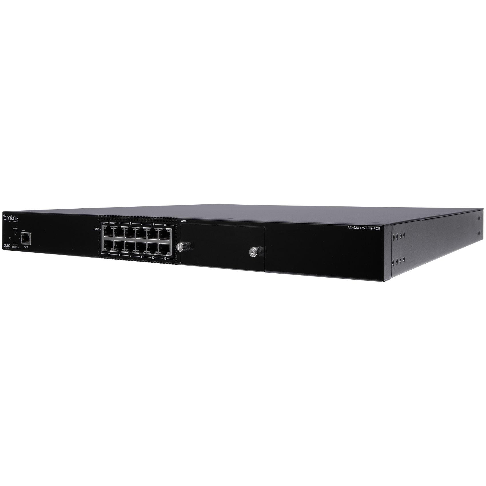 920 Series 12 Port Switch AN-920-SW - Amber Tech