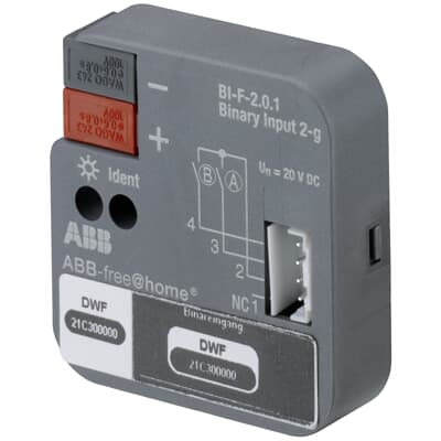 BINARY INPUT 2GANG, FM BI-F-2.0.1 - Amber Tech