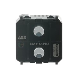 AB-SSA-F-1.1.PB.1