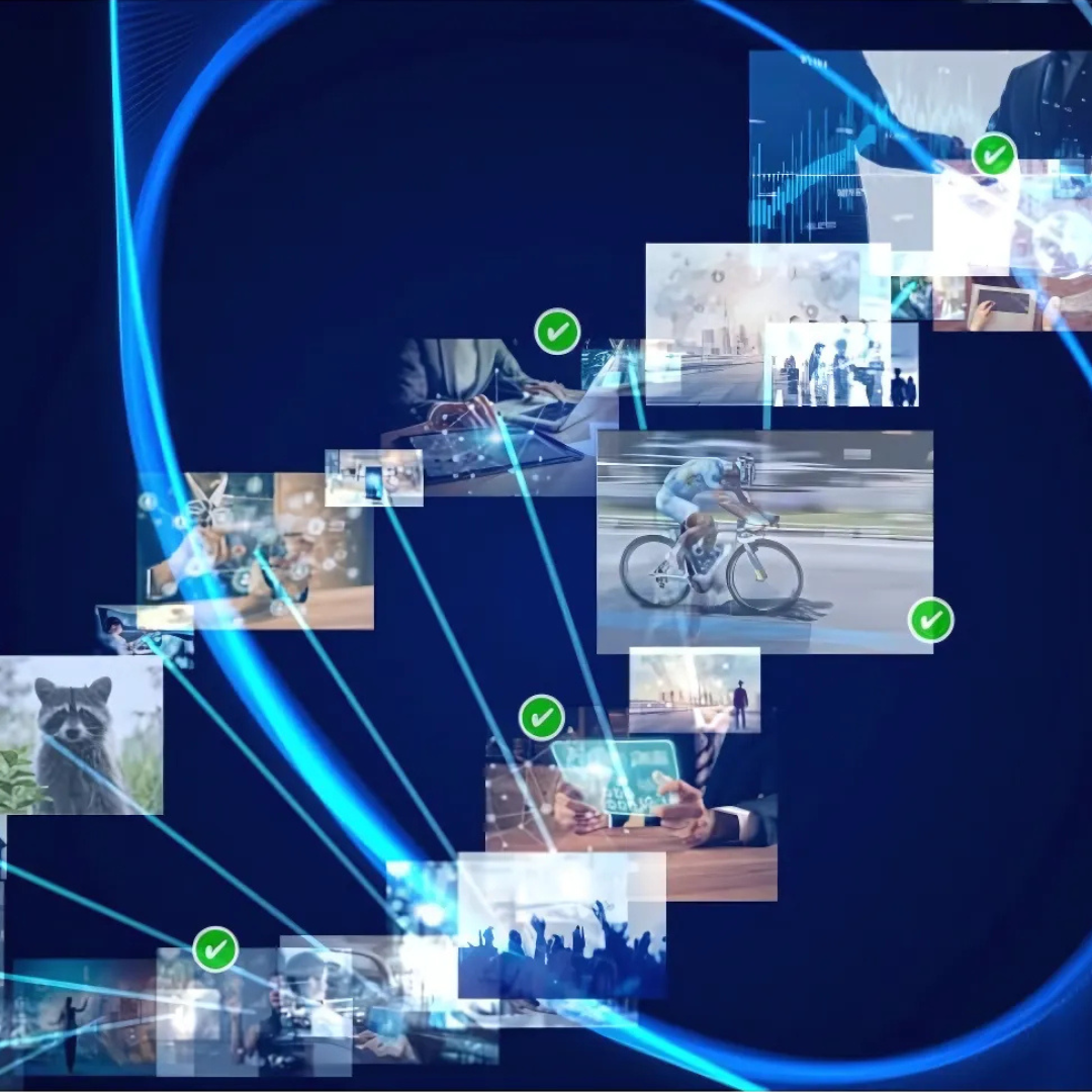 Telestream Digital Video Tools – Live & On-Demand Solutions - Amber Tech