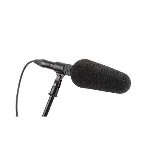 2017-shotgun-microphone-on-stand-with-windscreen-1170x660